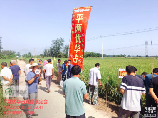 新興隆，新氣象，新未來—記滁州市平兩優(yōu)華占觀摩預(yù)訂會(huì)