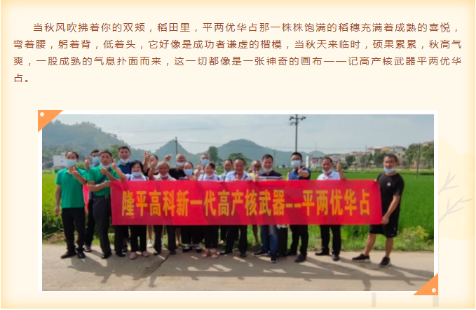 湖南興隆種業(yè)有限公司,長沙稻谷種植與銷售,長沙農(nóng)作物品種的選育,長沙農(nóng)業(yè)病蟲害防治服務(wù)