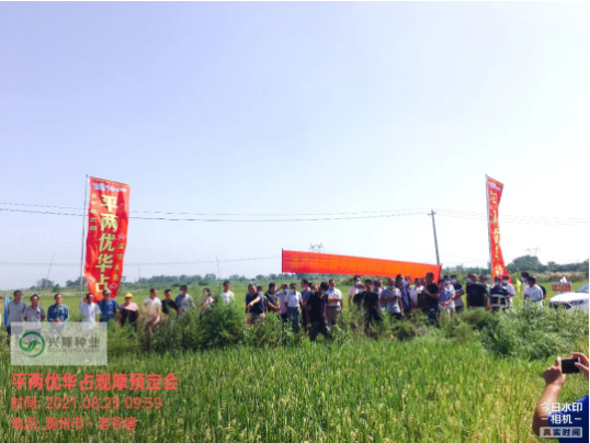 湖南興隆種業(yè)有限公司,長沙稻谷種植與銷售,長沙農(nóng)作物品種的選育,長沙農(nóng)業(yè)病蟲害防治服務(wù)