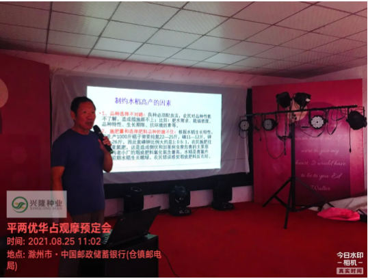 湖南興隆種業(yè)有限公司,長沙稻谷種植與銷售,長沙農(nóng)作物品種的選育,長沙農(nóng)業(yè)病蟲害防治服務(wù)