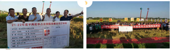 湖南興隆種業(yè)有限公司,長(zhǎng)沙稻谷種植與銷售,長(zhǎng)沙農(nóng)作物品種的選育,長(zhǎng)沙農(nóng)業(yè)病蟲害防治服務(wù)