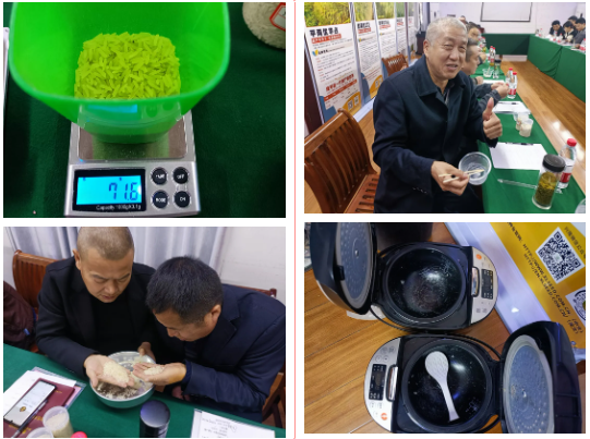 湖南興隆種業(yè)有限公司,長沙稻谷種植與銷售,長沙農作物品種的選育,長沙農業(yè)病蟲害防治服務