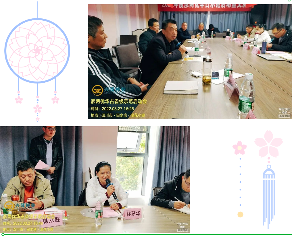 湖南興隆種業(yè)有限公司,長(zhǎng)沙稻谷種植與銷售,長(zhǎng)沙農(nóng)作物品種的選育,長(zhǎng)沙農(nóng)業(yè)病蟲害防治服務(wù)