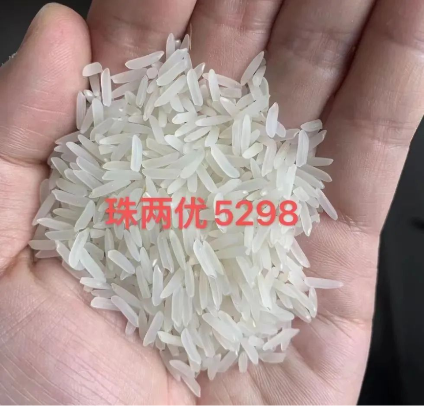 湖南興隆種業(yè)有限公司,長(zhǎng)沙稻谷種植與銷售,長(zhǎng)沙農(nóng)作物品種的選育,長(zhǎng)沙農(nóng)業(yè)病蟲(chóng)害防治服務(wù)