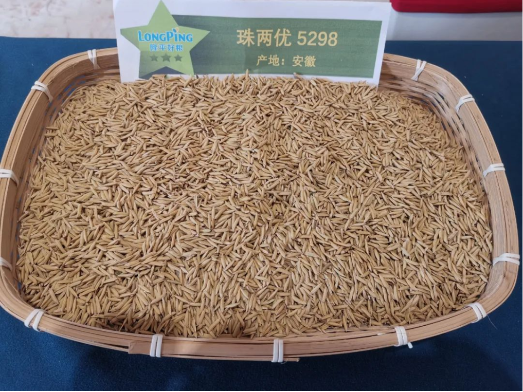 湖南興隆種業(yè)有限公司,長(zhǎng)沙稻谷種植與銷售,長(zhǎng)沙農(nóng)作物品種的選育,長(zhǎng)沙農(nóng)業(yè)病蟲(chóng)害防治服務(wù)