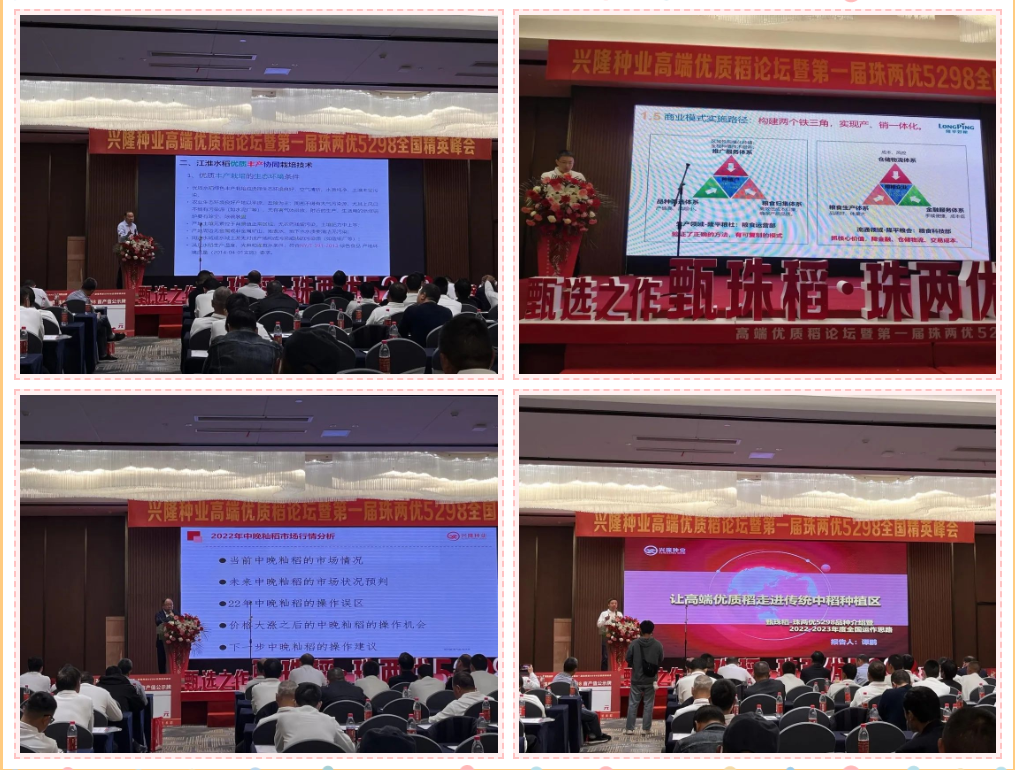 湖南興隆種業(yè)有限公司,長沙稻谷種植與銷售,長沙農(nóng)作物品種的選育,長沙農(nóng)業(yè)病蟲害防治服務 湖南興隆種業(yè)有限公司,長沙稻谷種植與銷售,長沙農(nóng)作物品種的選育,長沙農(nóng)業(yè)病蟲害防治服務