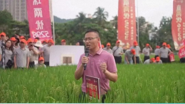 湖南興隆種業(yè)有限公司,長沙稻谷種植與銷售,長沙農(nóng)作物品種的選育,長沙農(nóng)業(yè)病蟲害防治服務(wù)