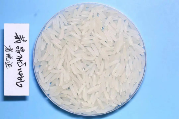 湖南興隆種業(yè)有限公司,長沙稻谷種植與銷售,長沙農(nóng)作物品種的選育,長沙農(nóng)業(yè)病蟲害防治服務(wù)