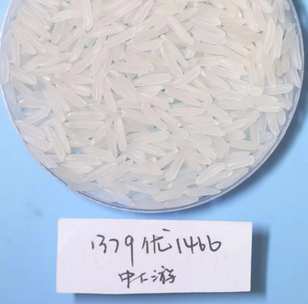 湖南興隆種業(yè)有限公司,長沙稻谷種植與銷售,長沙農(nóng)作物品種的選育,長沙農(nóng)業(yè)病蟲害防治服務(wù)