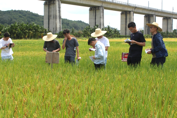 湖南興隆種業(yè)有限公司,長沙稻谷種植與銷售,長沙農作物品種的選育,長沙農業(yè)病蟲害防治服務 湖南興隆種業(yè)有限公司,長沙稻谷種植與銷售,長沙農作物品種的選育,長沙農業(yè)病蟲害防治服務