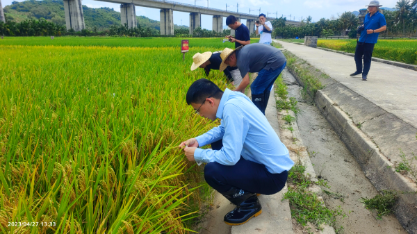 湖南興隆種業(yè)有限公司,長沙稻谷種植與銷售,長沙農作物品種的選育,長沙農業(yè)病蟲害防治服務