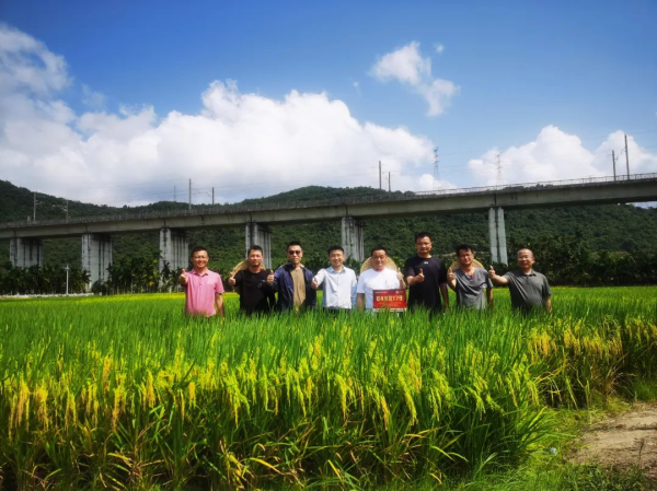 湖南興隆種業(yè)有限公司,長沙稻谷種植與銷售,長沙農作物品種的選育,長沙農業(yè)病蟲害防治服務