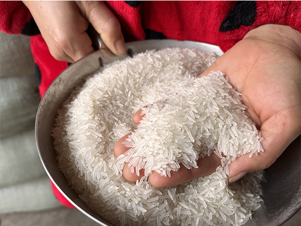 湖南興隆種業(yè)有限公司,長沙稻谷種植與銷售,長沙農作物品種的選育,長沙農業(yè)病蟲害防治服務