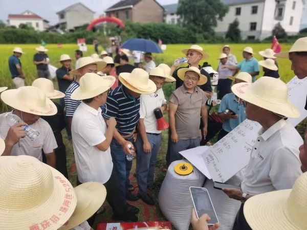 湖南興隆種業(yè)有限公司,長(zhǎng)沙稻谷種植與銷售,長(zhǎng)沙農(nóng)作物品種的選育,長(zhǎng)沙農(nóng)業(yè)病蟲害防治服務(wù)