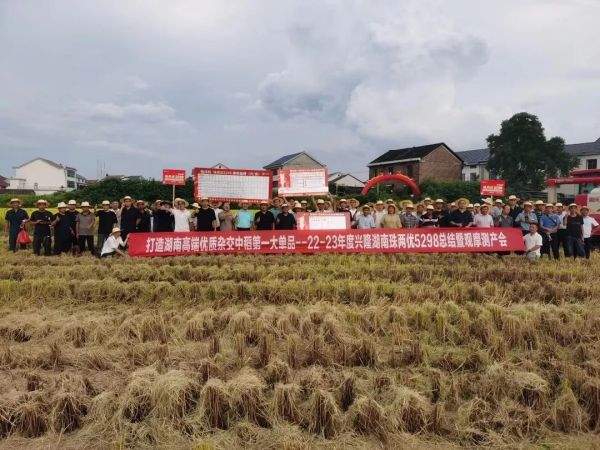 湖南興隆種業(yè)有限公司,長(zhǎng)沙稻谷種植與銷售,長(zhǎng)沙農(nóng)作物品種的選育,長(zhǎng)沙農(nóng)業(yè)病蟲害防治服務(wù)