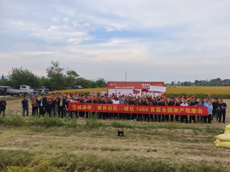 湖南興隆種業(yè)有限公司,長沙稻谷種植與銷售,長沙農(nóng)作物品種的選育,長沙農(nóng)業(yè)病蟲害防治服務(wù)