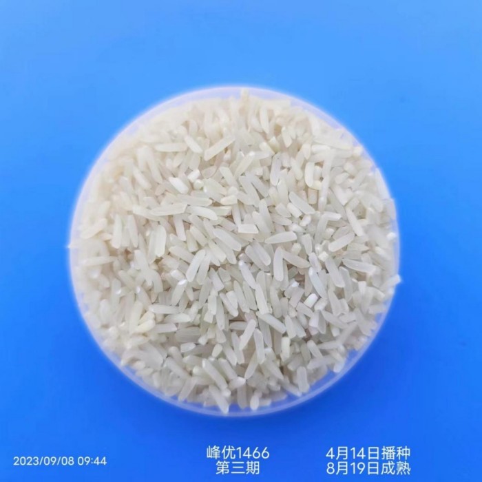 湖南興隆種業(yè)有限公司,長(zhǎng)沙稻谷種植與銷售,長(zhǎng)沙農(nóng)作物品種的選育,長(zhǎng)沙農(nóng)業(yè)病蟲害防治服務(wù)