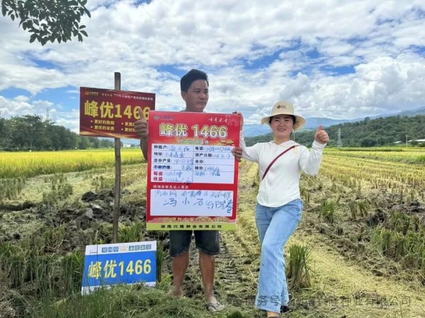 湖南興隆種業(yè)有限公司,長沙稻谷種植與銷售,長沙農(nóng)作物品種的選育,長沙農(nóng)業(yè)病蟲害防治服務
