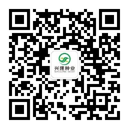 湖南興隆種業(yè)有限公司,長沙稻谷種植與銷售,長沙農作物品種的選育,長沙農業(yè)病蟲害防治服務