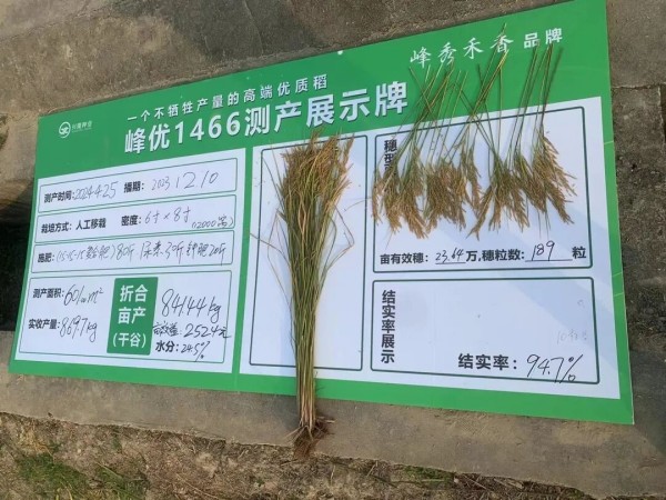 湖南興隆種業(yè)有限公司,長沙稻谷種植與銷售,長沙農(nóng)作物品種的選育,長沙農(nóng)業(yè)病蟲害防治服務(wù)