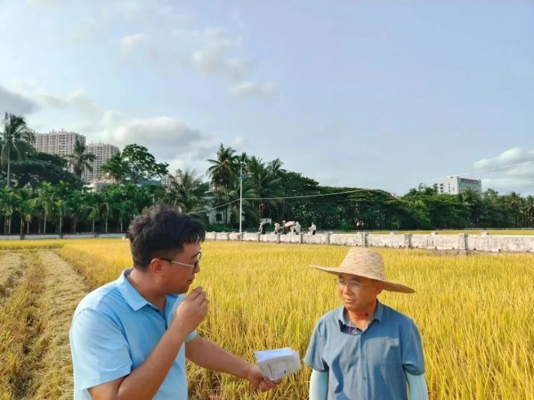 湖南興隆種業(yè)有限公司,長沙稻谷種植與銷售,長沙農(nóng)作物品種的選育,長沙農(nóng)業(yè)病蟲害防治服務(wù) 湖南興隆種業(yè)有限公司,長沙稻谷種植與銷售,長沙農(nóng)作物品種的選育,長沙農(nóng)業(yè)病蟲害防治服務(wù)