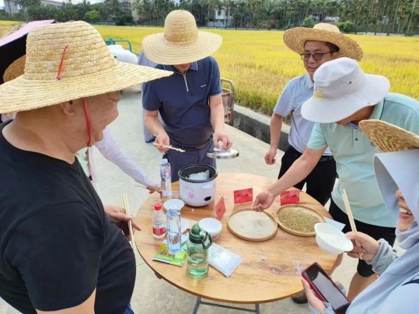 湖南興隆種業(yè)有限公司,長沙稻谷種植與銷售,長沙農(nóng)作物品種的選育,長沙農(nóng)業(yè)病蟲害防治服務(wù) 湖南興隆種業(yè)有限公司,長沙稻谷種植與銷售,長沙農(nóng)作物品種的選育,長沙農(nóng)業(yè)病蟲害防治服務(wù)