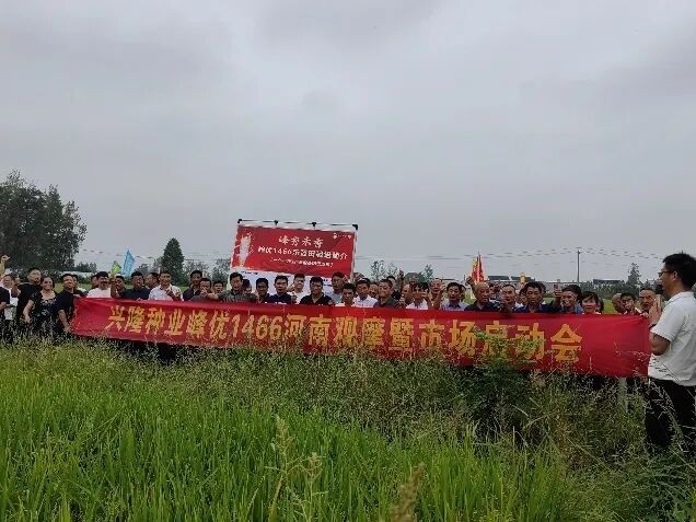 湖南興隆種業(yè)有限公司,長(zhǎng)沙稻谷種植與銷(xiāo)售,長(zhǎng)沙農(nóng)作物品種的選育,長(zhǎng)沙農(nóng)業(yè)病蟲(chóng)害防治服務(wù)