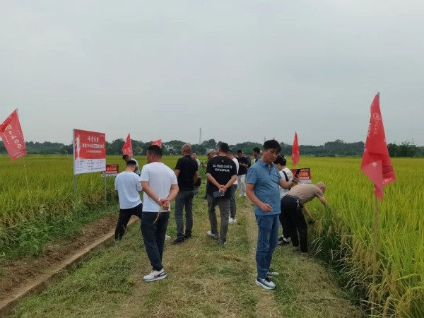 湖南興隆種業(yè)有限公司,長沙稻谷種植與銷售,長沙農(nóng)作物品種的選育,長沙農(nóng)業(yè)病蟲害防治服務(wù)