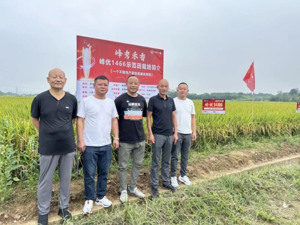 湖南興隆種業(yè)有限公司,長沙稻谷種植與銷售,長沙農(nóng)作物品種的選育,長沙農(nóng)業(yè)病蟲害防治服務(wù)