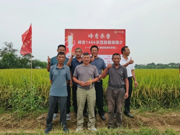 湖南興隆種業(yè)有限公司,長沙稻谷種植與銷售,長沙農(nóng)作物品種的選育,長沙農(nóng)業(yè)病蟲害防治服務(wù)