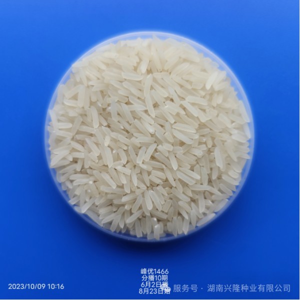 湖南興隆種業(yè)有限公司,長沙稻谷種植與銷售,長沙農(nóng)作物品種的選育,長沙農(nóng)業(yè)病蟲害防治服務(wù)