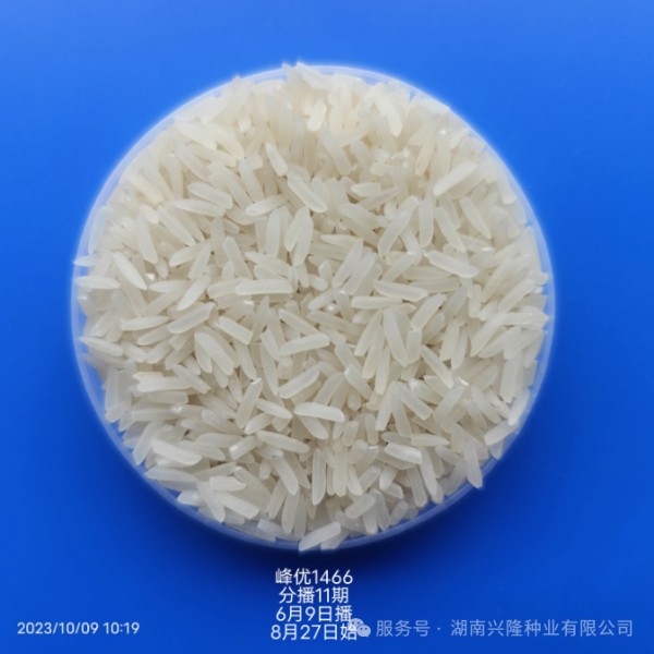 湖南興隆種業(yè)有限公司,長沙稻谷種植與銷售,長沙農(nóng)作物品種的選育,長沙農(nóng)業(yè)病蟲害防治服務(wù)