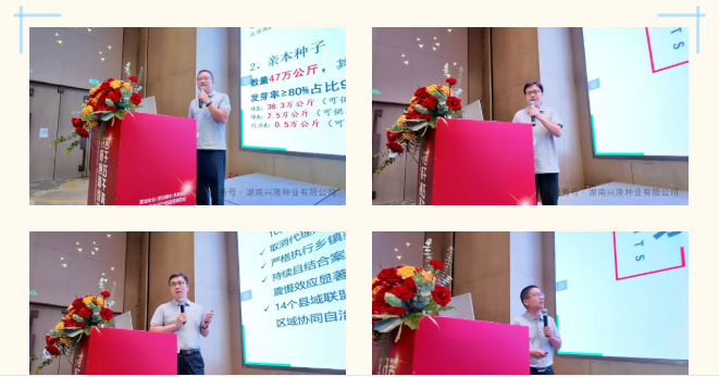 湖南興隆種業(yè)有限公司,長沙稻谷種植與銷售,長沙農(nóng)作物品種的選育,長沙農(nóng)業(yè)病蟲害防治服務(wù)