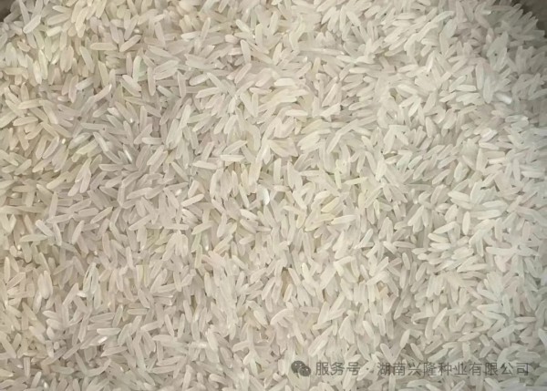 湖南興隆種業(yè)有限公司,長(zhǎng)沙稻谷種植與銷售,長(zhǎng)沙農(nóng)作物品種的選育,長(zhǎng)沙農(nóng)業(yè)病蟲(chóng)害防治服務(wù)