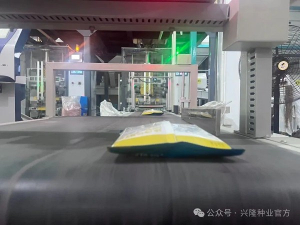 湖南興隆種業(yè)有限公司,長沙稻谷種植與銷售,長沙農(nóng)作物品種的選育,長沙農(nóng)業(yè)病蟲害防治服務(wù)