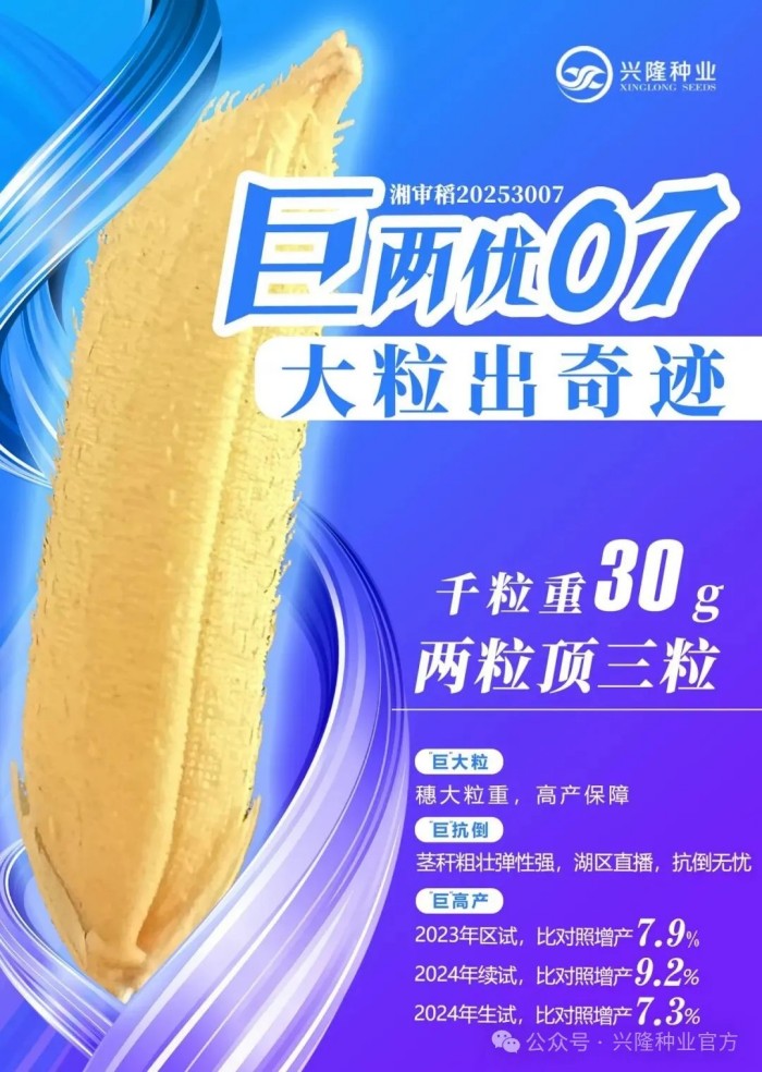 湖南興隆種業(yè)有限公司,長(zhǎng)沙稻谷種植與銷售,長(zhǎng)沙農(nóng)作物品種的選育,長(zhǎng)沙農(nóng)業(yè)病蟲害防治服務(wù)