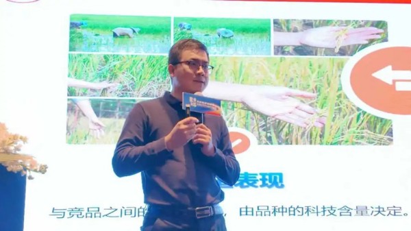 湖南興隆種業(yè)有限公司,長(zhǎng)沙稻谷種植與銷售,長(zhǎng)沙農(nóng)作物品種的選育,長(zhǎng)沙農(nóng)業(yè)病蟲害防治服務(wù)