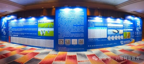 湖南興隆種業(yè)有限公司,長沙稻谷種植與銷售,長沙農(nóng)作物品種的選育,長沙農(nóng)業(yè)病蟲害防治服務(wù)