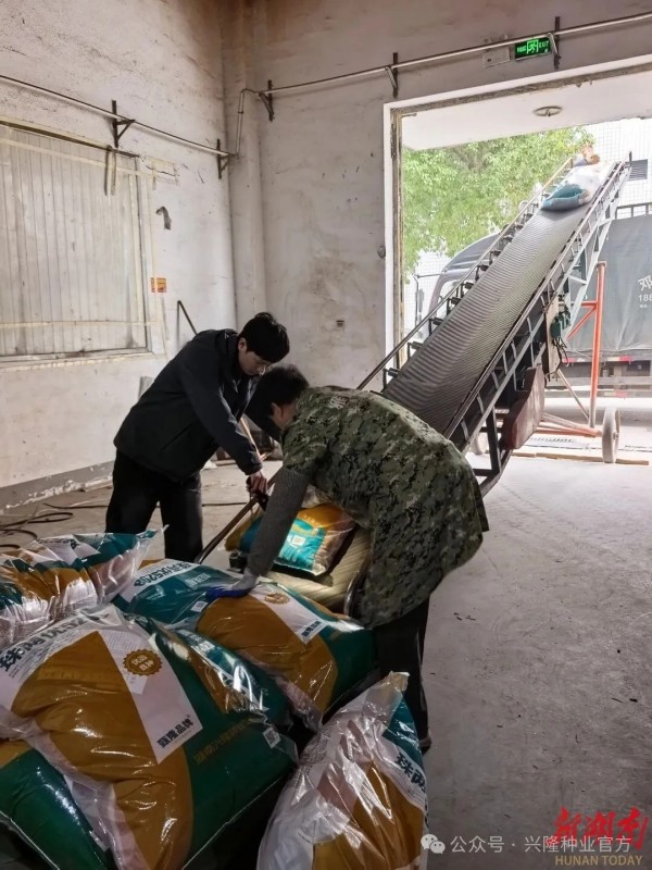 湖南興隆種業(yè)有限公司,長(zhǎng)沙稻谷種植與銷(xiāo)售,長(zhǎng)沙農(nóng)作物品種的選育,長(zhǎng)沙農(nóng)業(yè)病蟲(chóng)害防治服務(wù)